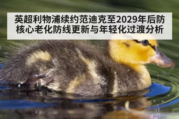 英超利物浦续约范迪克至2029年后防核心老化防线更新与年轻化过渡分析